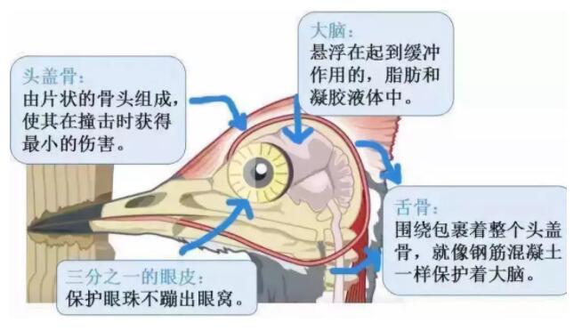 昆明安全帽，安全買冷知識你知道嗎？
